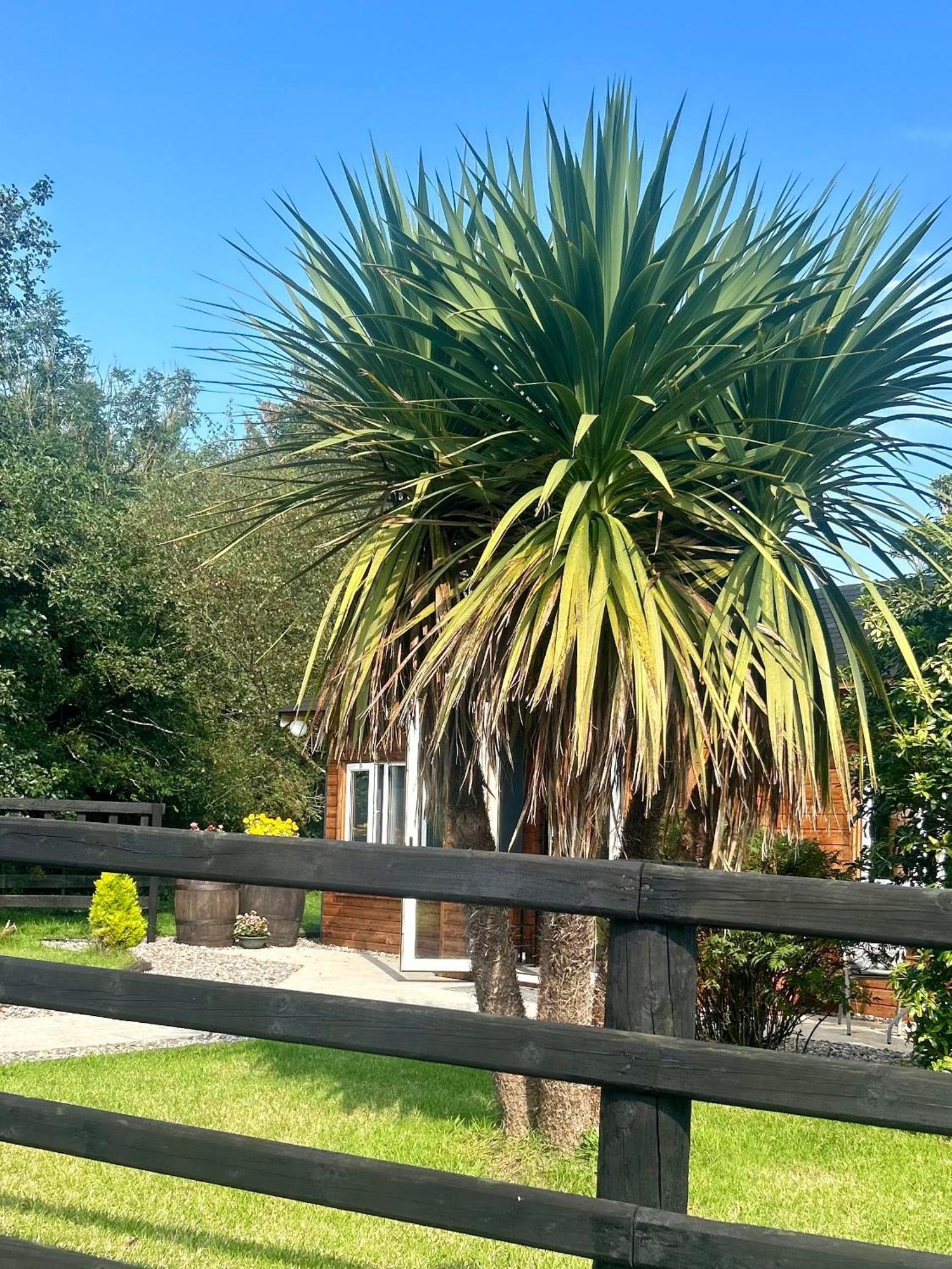 Omagh Villa Sixmilecross Kültér fotó
